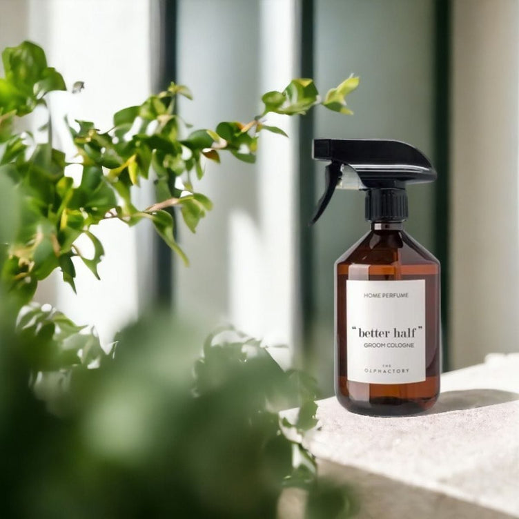 Ambientair OLPHACTORY Romspray