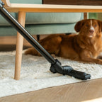 Flexit LCD Slangesett